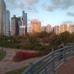 حديقة العائلة6