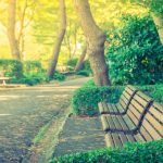 حديقة العاصمة1