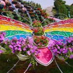 حديقة الفراشات بدبي