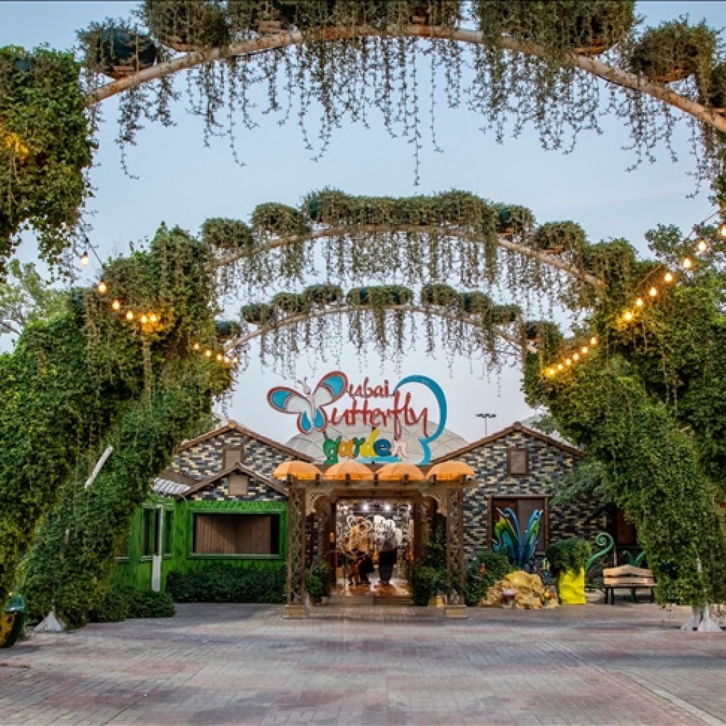 حديقة الفراشات بدبي ١