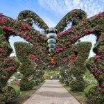 حديقة الفراشات بدبي ٢