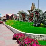 حديقة الفراشات بدبي ٣