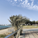 حديقة الكورنيش الأوسط3