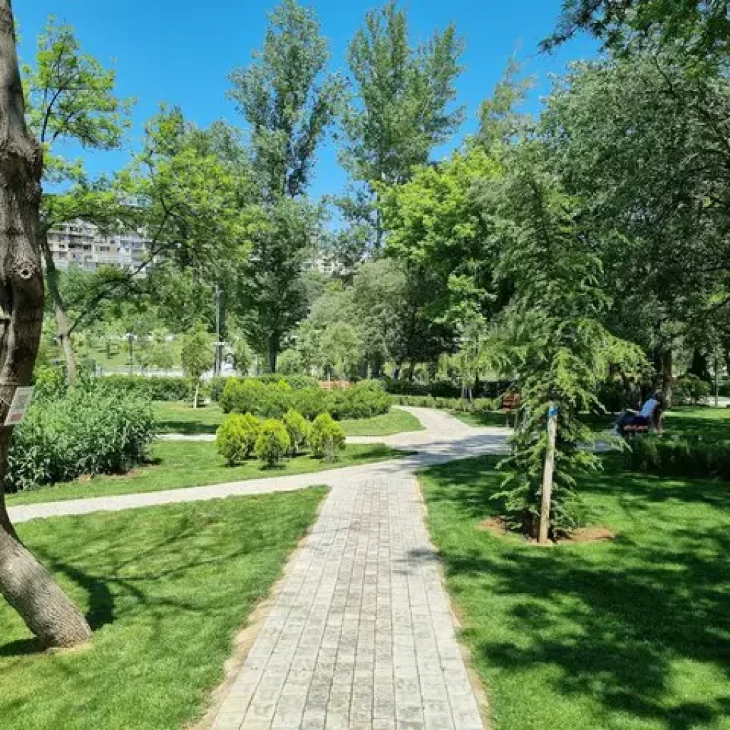 حديقة المشتيدي 3