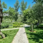 حديقة المشتيدي 3