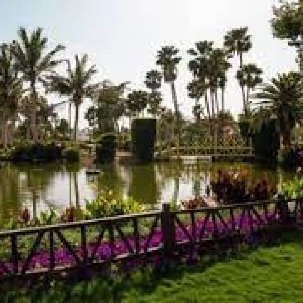 حديقة بحيرة ينبع الصناعية33