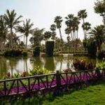 حديقة بحيرة ينبع الصناعية33