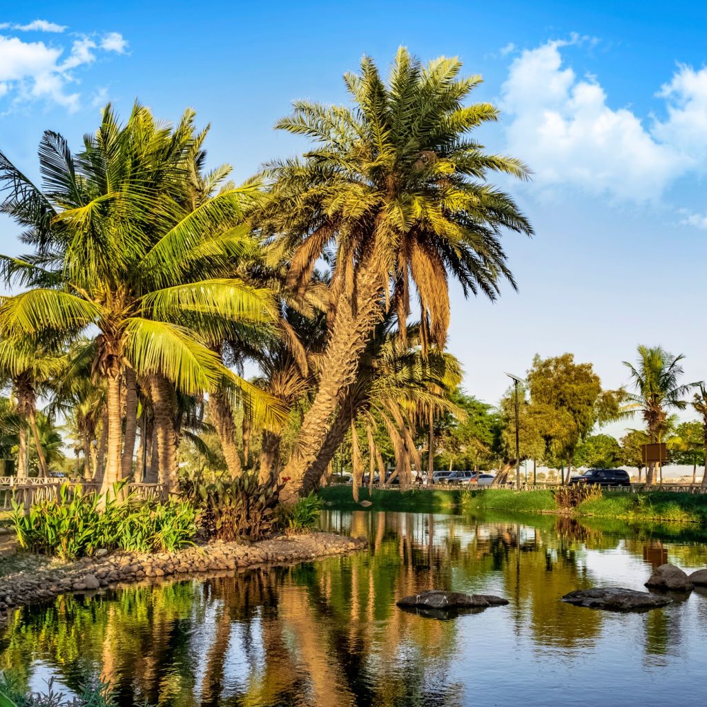 حديقة بحيرة ينبع الصناعية