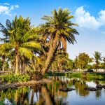 حديقة بحيرة ينبع الصناعية55