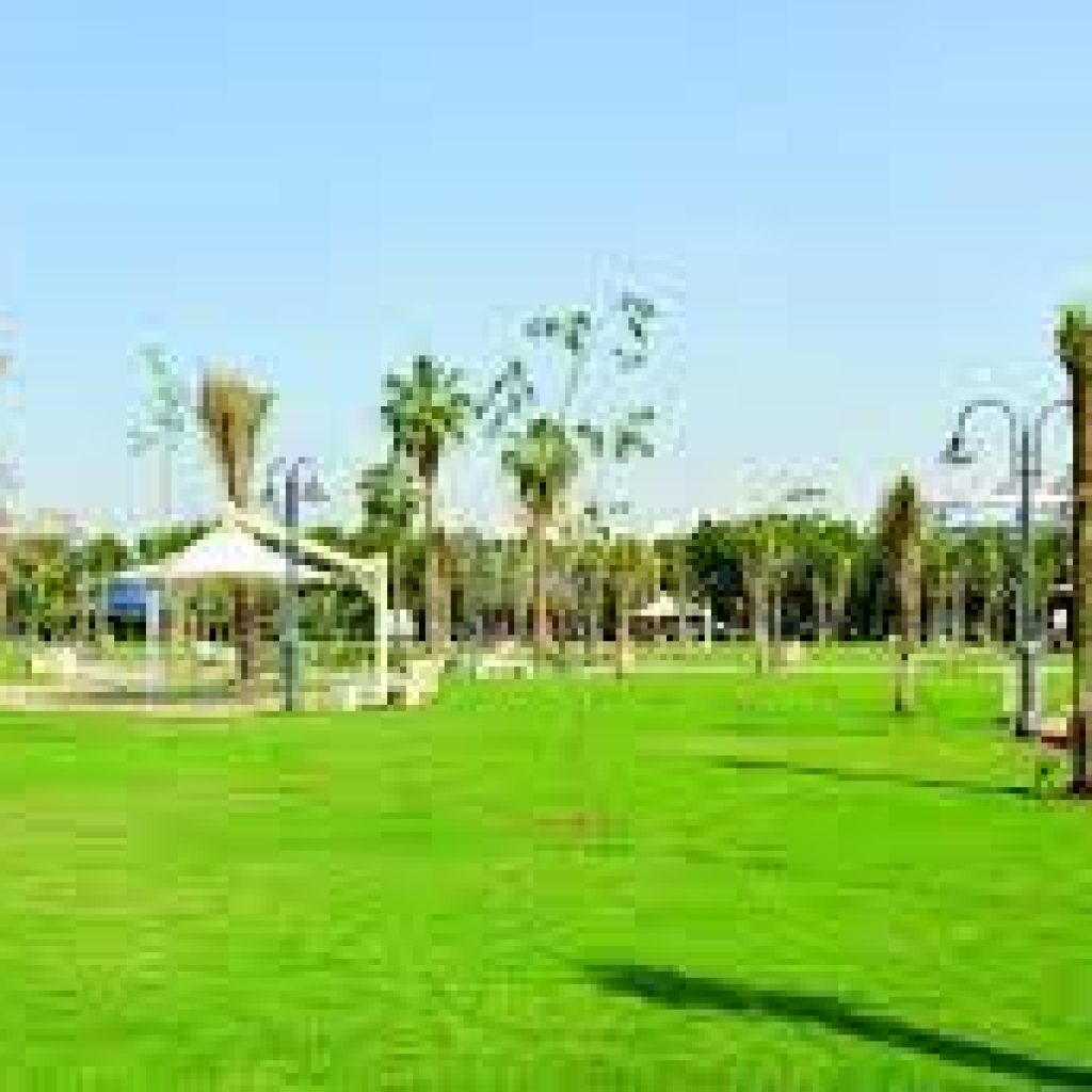 حديقة تهامة1