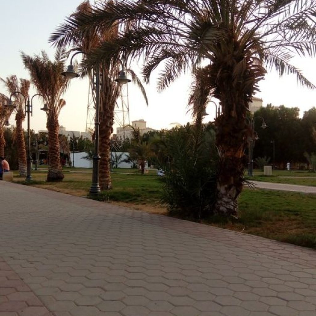 حديقة تهامة3