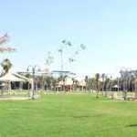 حديقة تهامة4