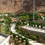 حديقة جبل احد فى المدينة المنورة33