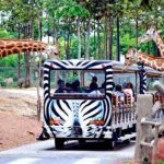 حديقة حيوان تبليسي 6