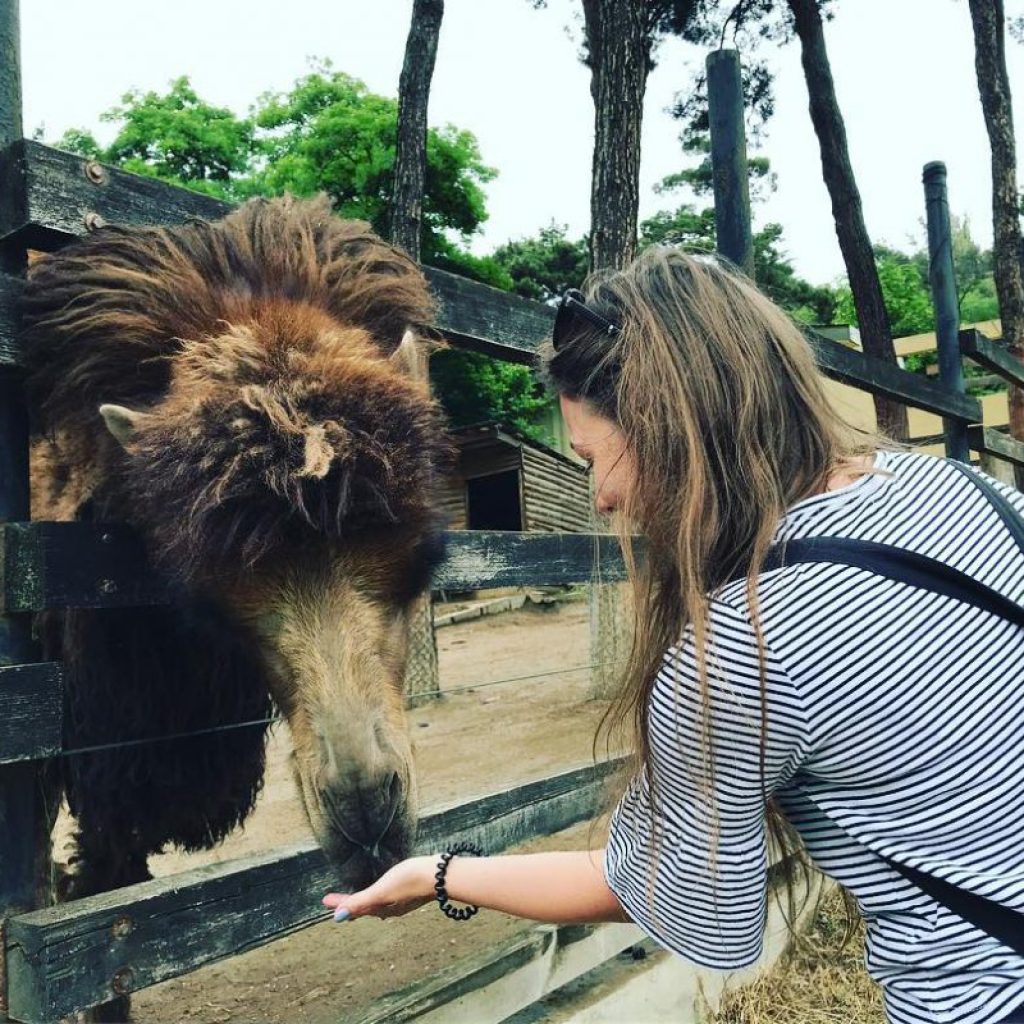 حديقة حيوان تبليسي 5