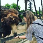 حديقة حيوان تبليسي 5