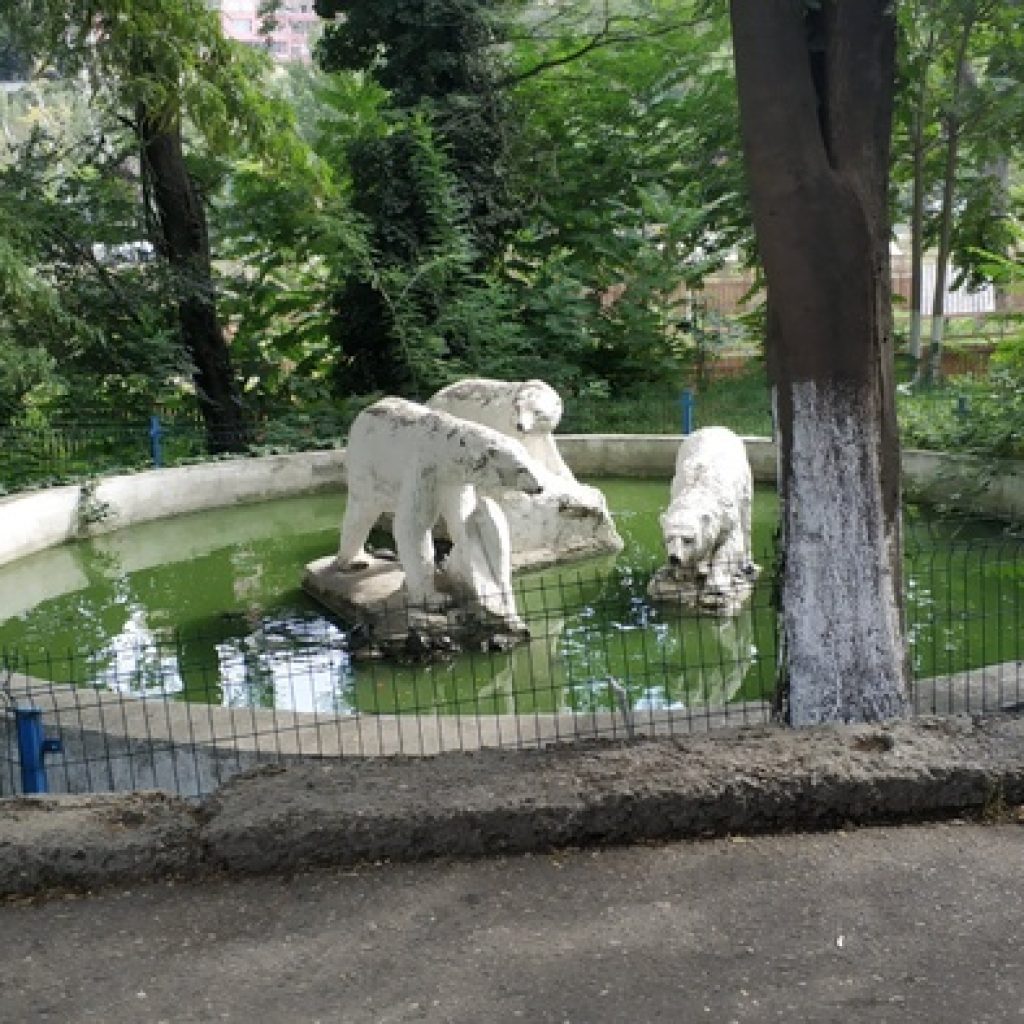 حديقة حيوان تبليسي 3