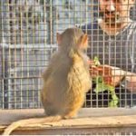 حديقة حيوان تسنيم