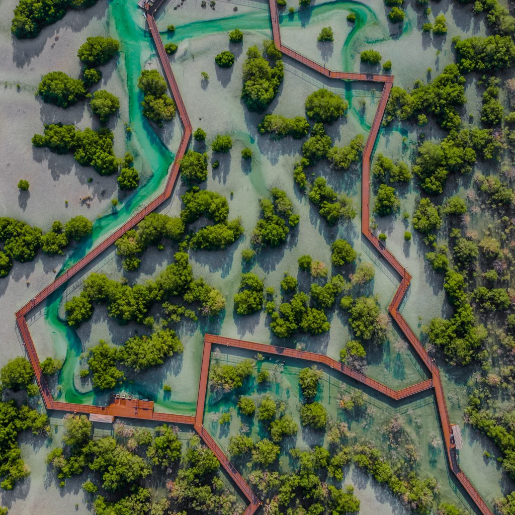 حديقة قرم الجبيل أبوظبي4