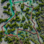 حديقة قرم الجبيل أبوظبي4