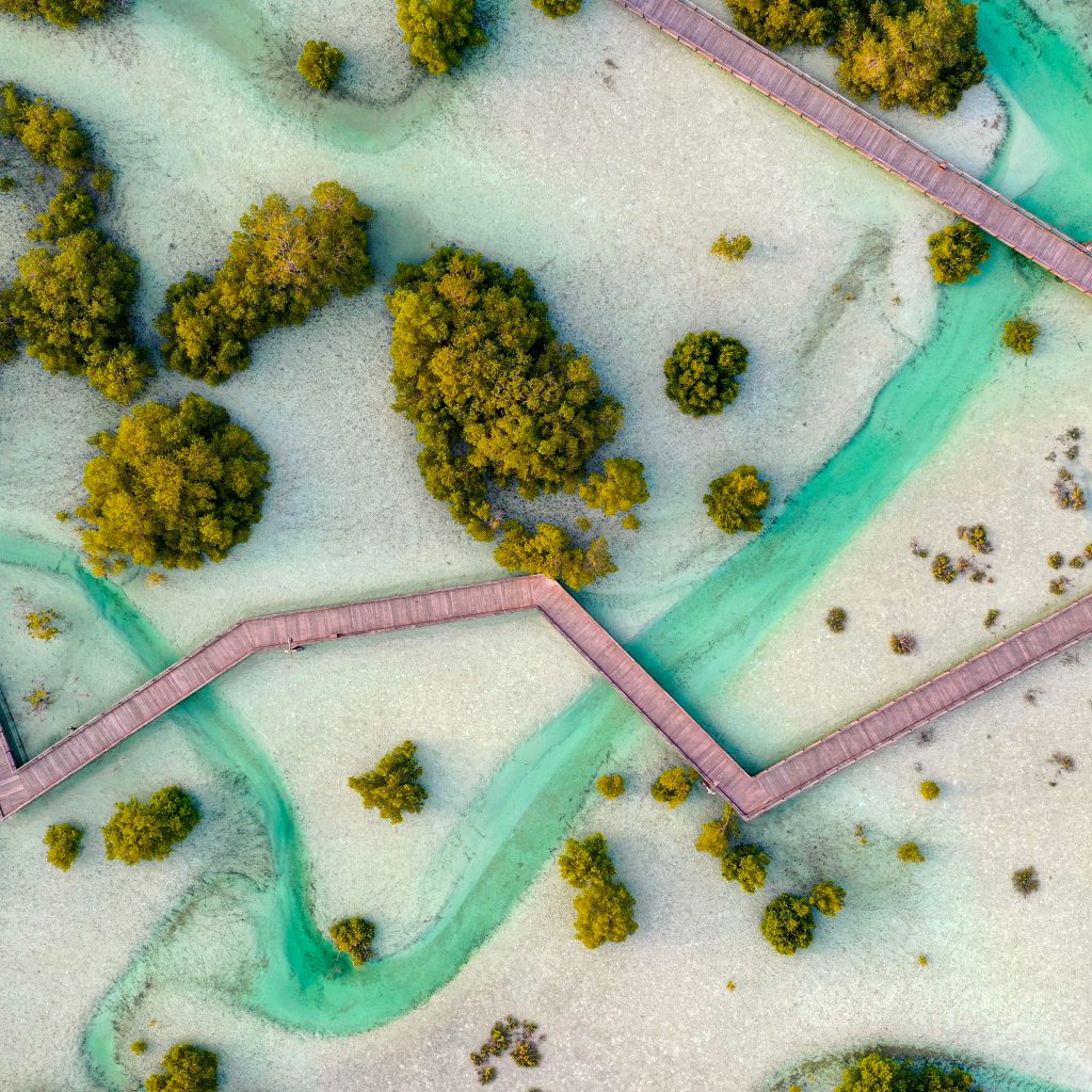 حديقة قرم الجبيل أبوظبي1