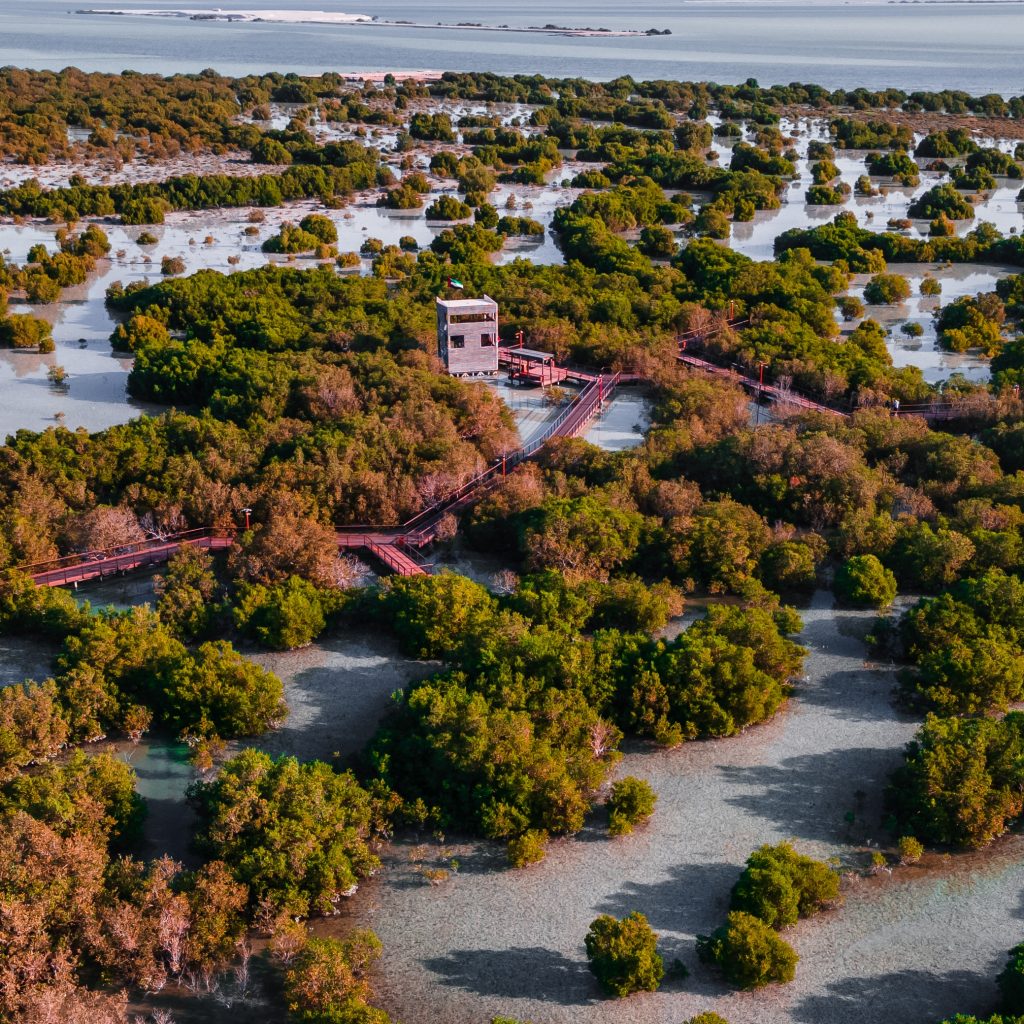 حديقة قرم الجبيل أبوظبي5