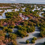 حديقة قرم الجبيل أبوظبي5