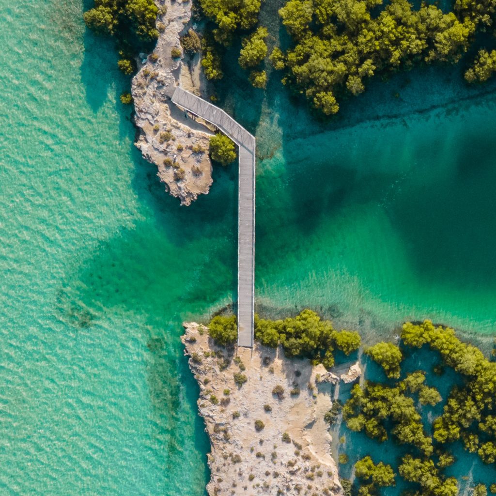 حديقة قرم الجبيل أبوظبي3