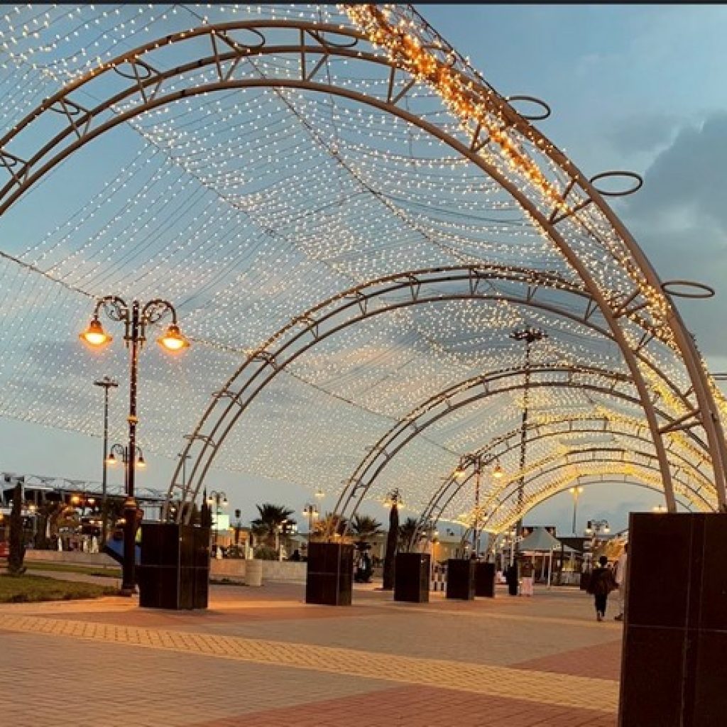 حديقة مطار ابها