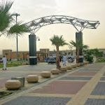 حديقة مطار ابها