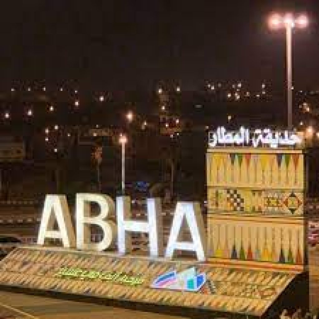 حديقة مطار ابها