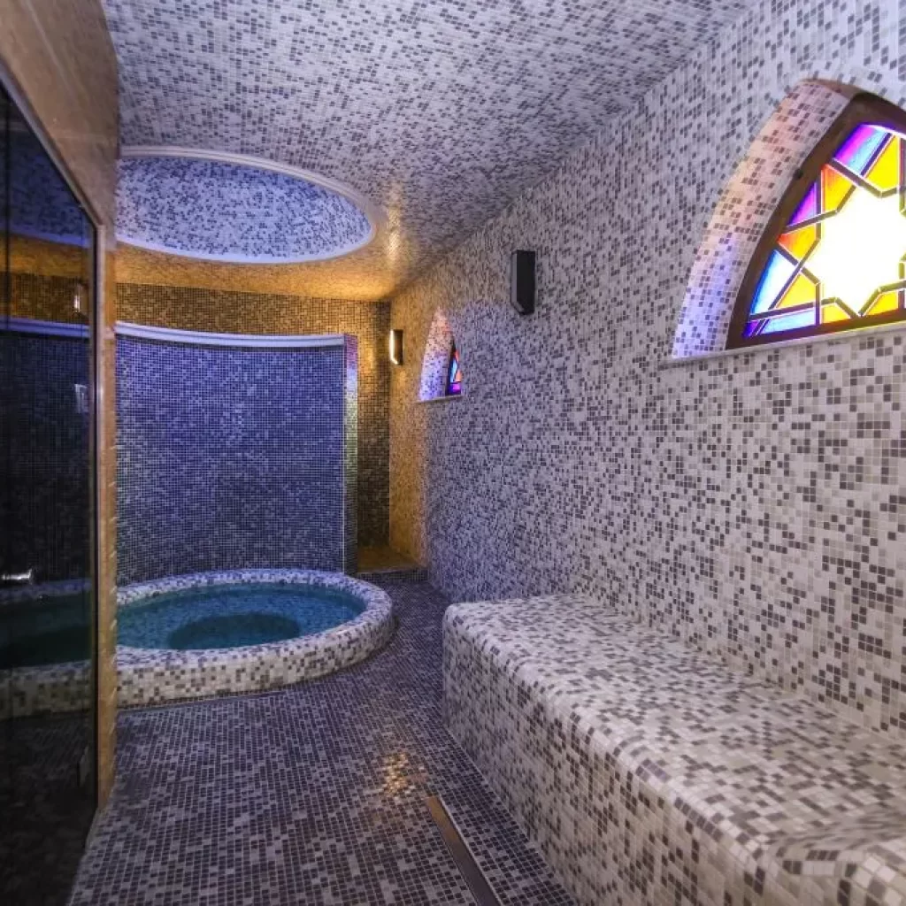 حمامات تبليسي الكبريتية أو حمامات أباناتوبني 1