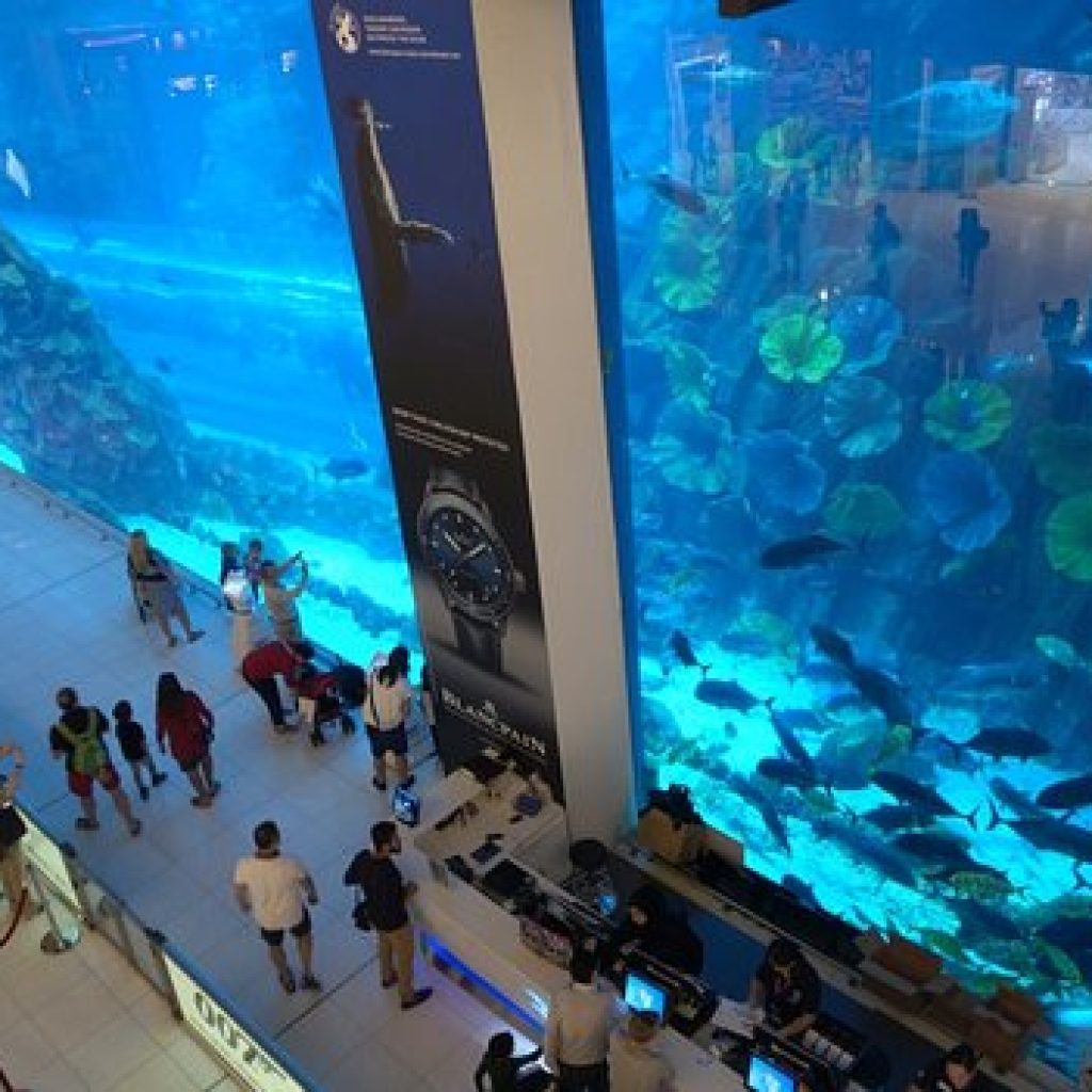 دبي أكواريوم وحديقة الحيوانات المائية ١