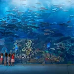 دبي أكواريوم وحديقة الحيوانات المائية ٤