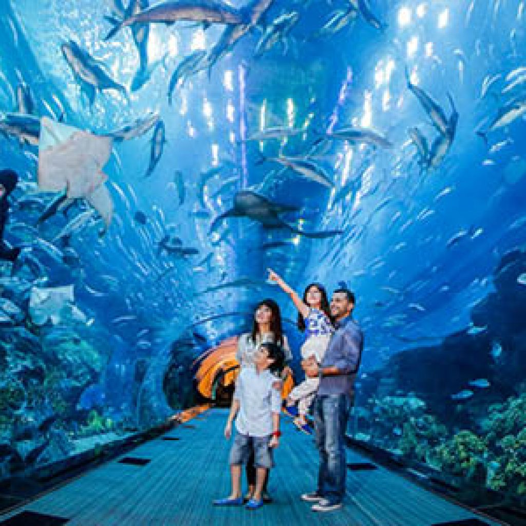 دبي أكواريوم وحديقة الحيوانات المائية ٥