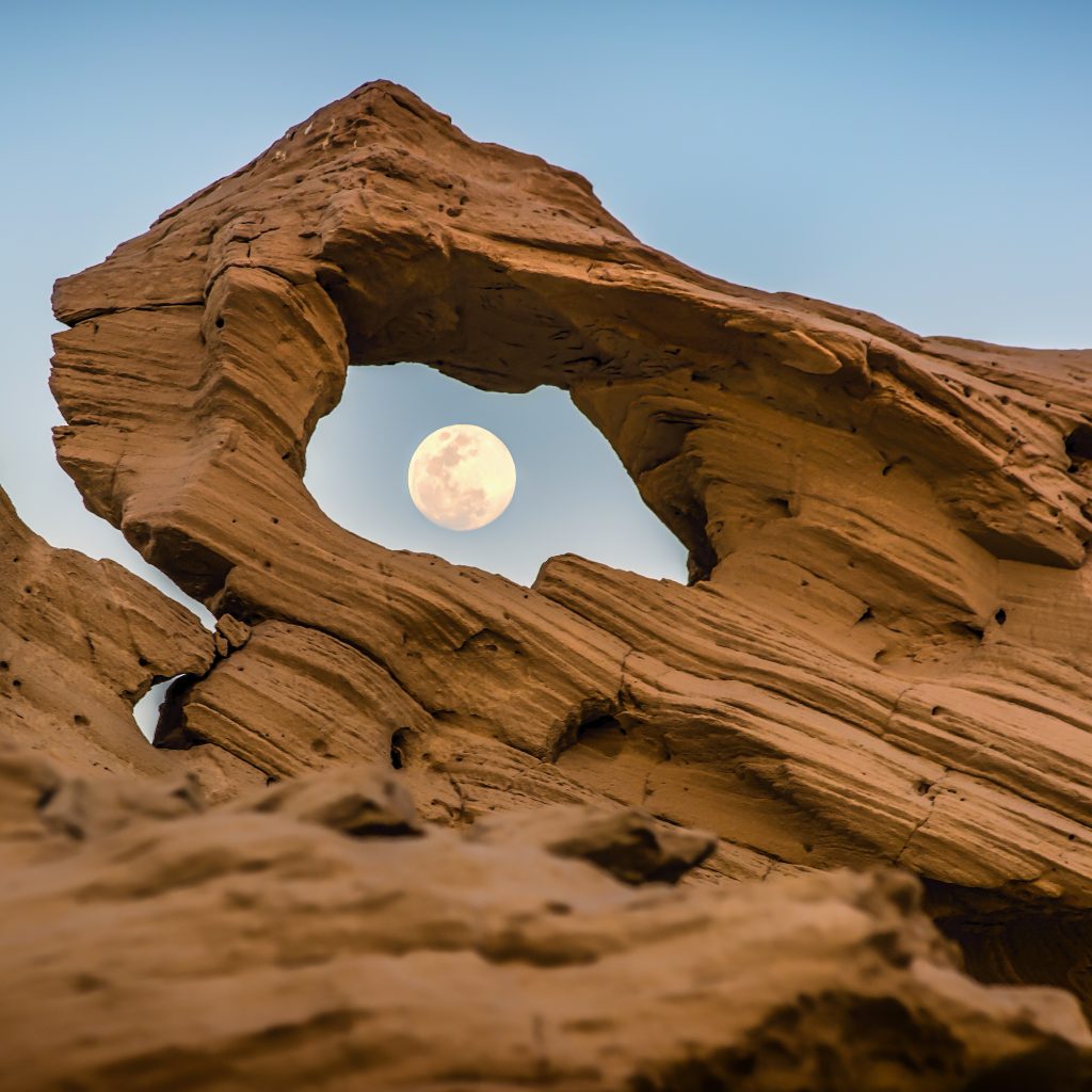 رحلات السفاري الصحراوية أبو ظبي4