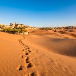 رحلات السفاري الصحراوية أبو ظبي1