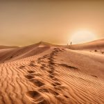 رحلات السفاري الصحراوية أبو ظبي3