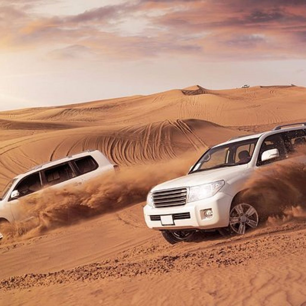 افضل رحلات السفاري في مدينة دبي - Image 3