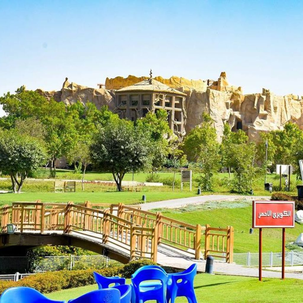 فاميلي بارك 11