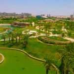 فاميلي بارك22