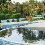 فاميلي بارك33