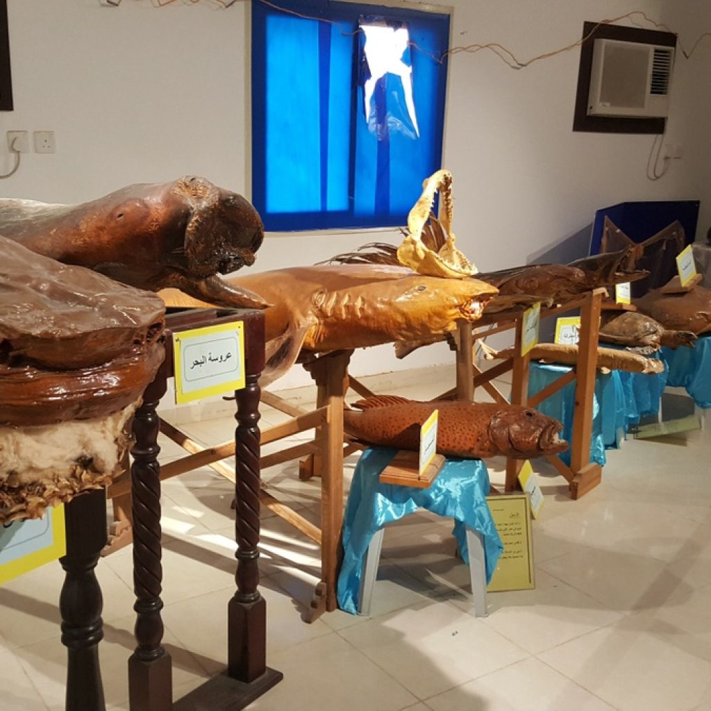 فرع الثروة السمكية بينبع 2