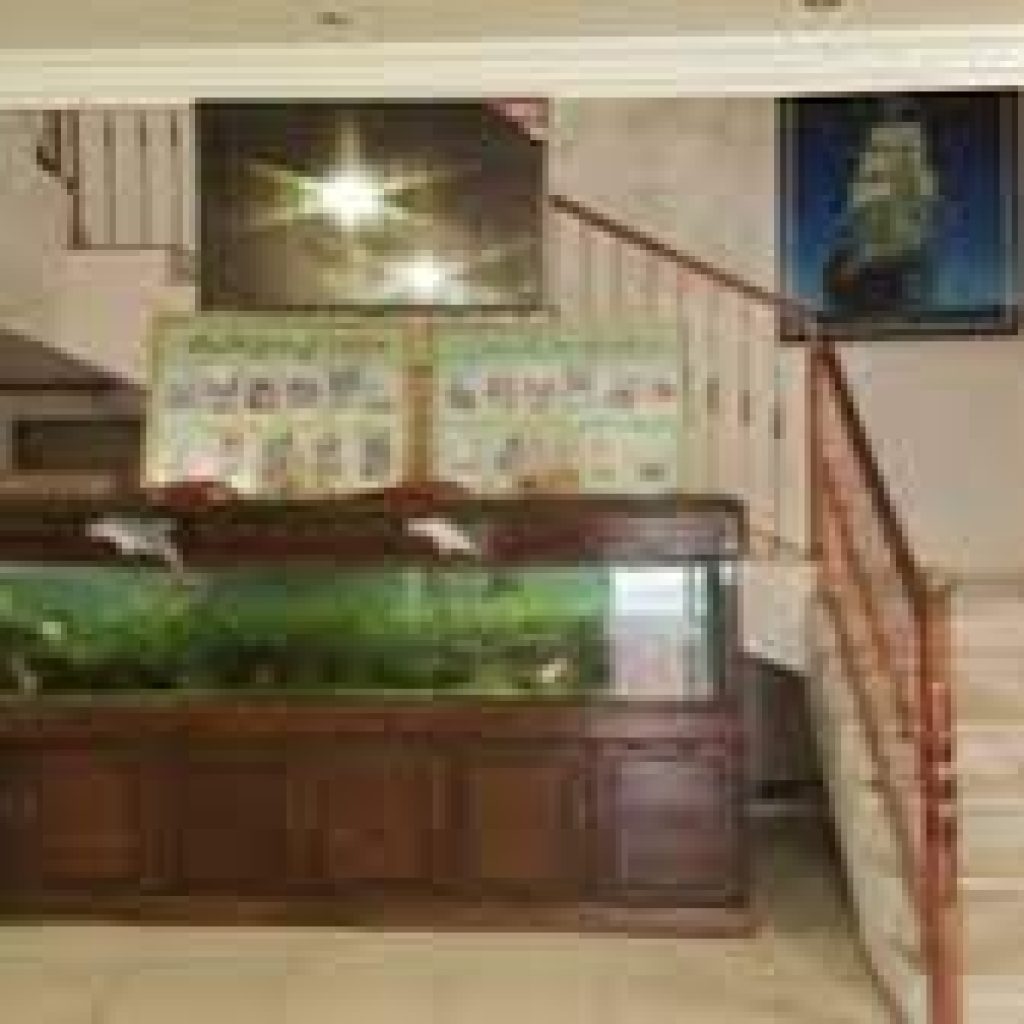 فرع الثروة السمكية بينبع 3