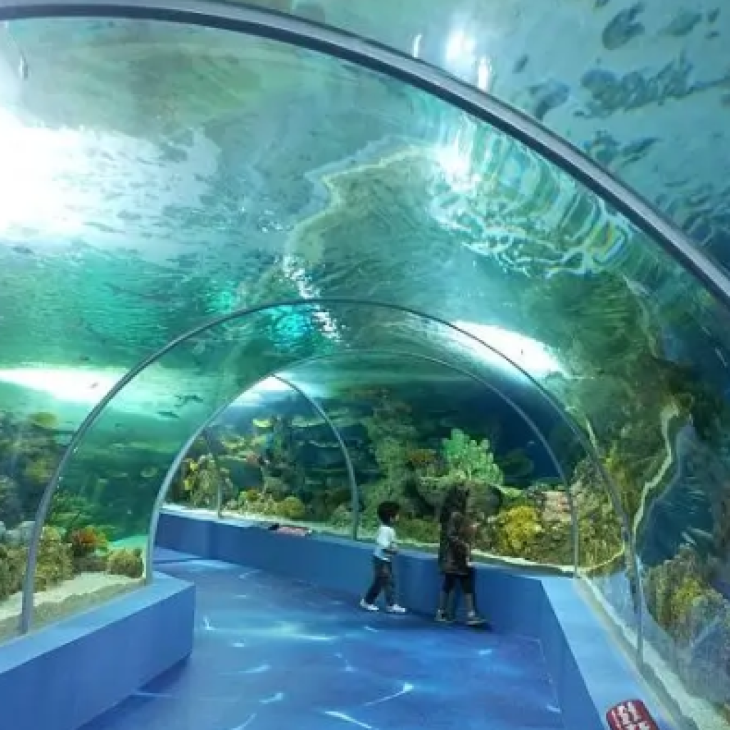 فقيه أكواريوم7