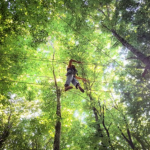 فورستانبول اسطنبول