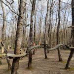 فورستانبول اسطنبول