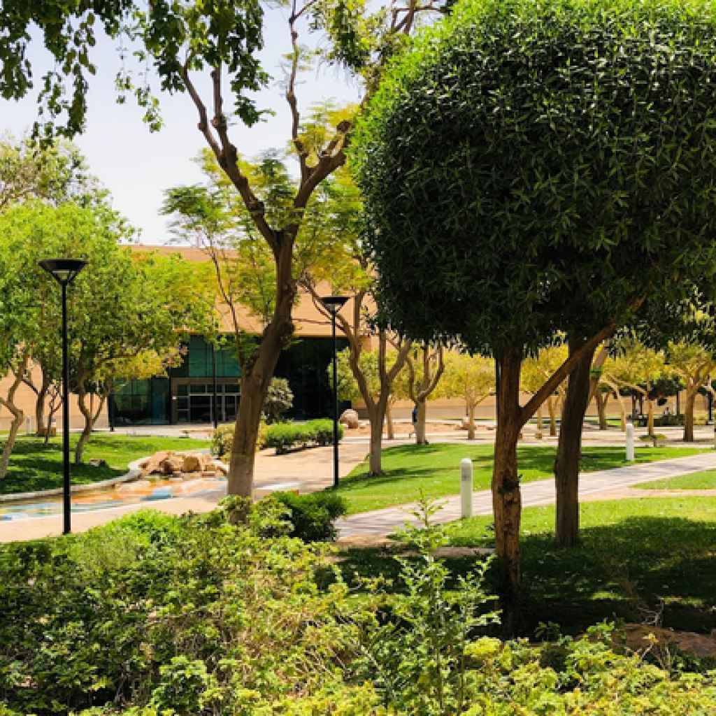 متحف قصر المربع