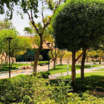 متحف قصر المربع