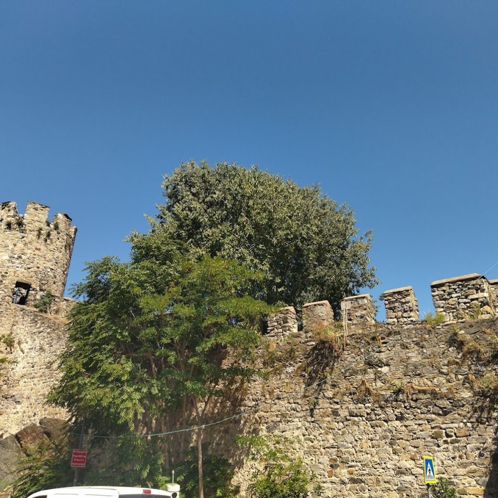 قلعة الأناضول 3